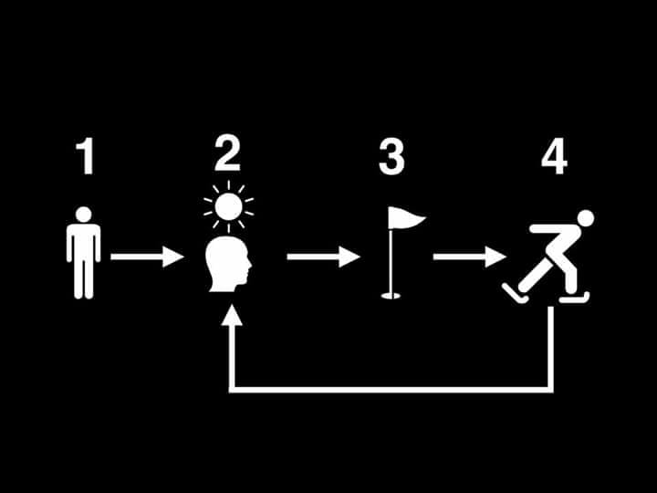 4 GIAI ĐOẠN PHÁT TRIỂN & VÒNG LẶP CUỘC ĐỜI.