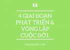 4 GIAI ĐOẠN PHÁQT TRIỂN & VÒNG LẶP CUỘC ĐỜI.